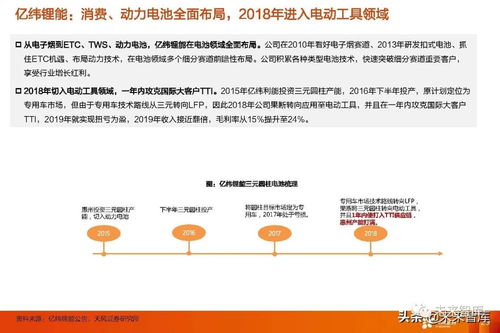 电子专业查重报告：如何解读并提供改进建议