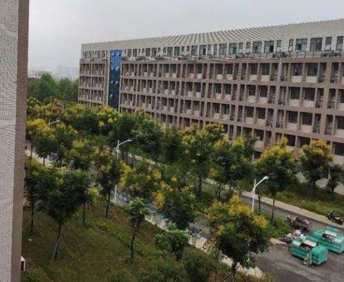 河南科技大学男女混住 学校官方回应来了