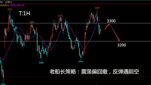 请问各位高手，钢铁股其中的个股是否有机会形成大双顶呢？