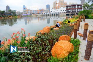 光明港公园：城市绿肺，休闲胜地
