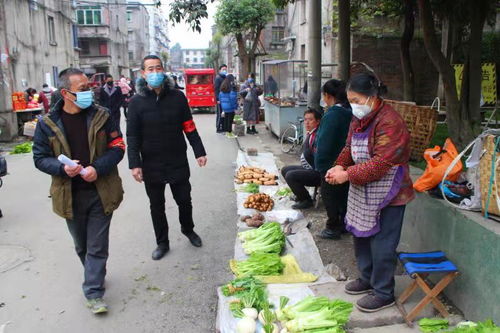 村民晚上巡逻范文怎么写,村治安队是什么？