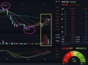 鲁阳节能业绩好但是股价一路下跌是否有其他原因