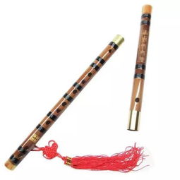 长笛跟竹笛哪个更有发展