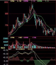 股票高手帮忙讲解：这个K线图为什么在8月13日的地方断开了？