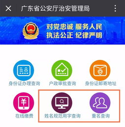 广东人起名前查查这个新神器,再不用担心名字 撞爆款 