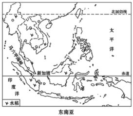 东南亚处于世界的 十字路口 的位置.读图.回答问题. 1 东南亚位于低纬度地区.东南亚各国普遍种植的粮食作物是水稻. 2 马六甲海峡沟通太平洋和印度洋.试描述新加坡的气候特征 