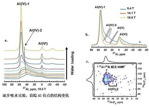  nmr测试时常用什么样的溶剂 钱包应用