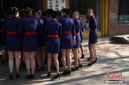 山东省舞蹈统考都有哪些学校