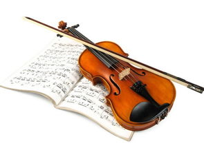 做梦梦见小提琴是什么意思 周公解梦 