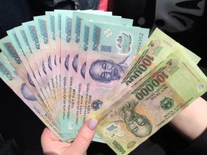9万越南币等于多少人民币,9万越南元的汇率概要。