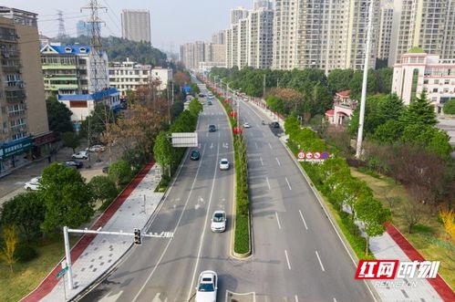 一条唤醒城市红色人文记忆的门户大道 岳麓雷锋大道旧貌焕新颜