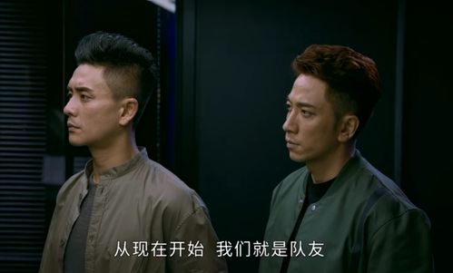 梦见人失踪了又回来了