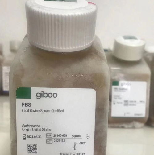 gibco公司(gibco和赛默飞的关系)