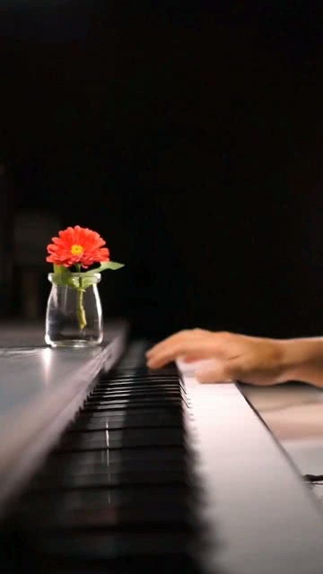 今生最大的愿望就是,希望下辈子还能遇见你 钢琴 