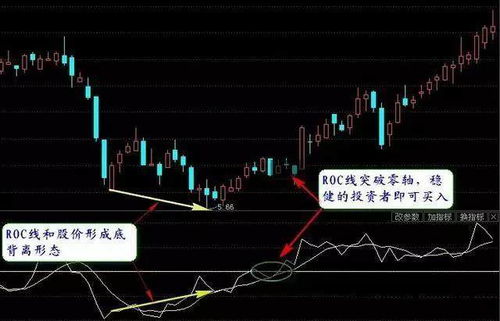 股票roc指标原代码