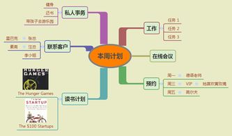 xmind思维导图怎么用,：轻松高效地进行思