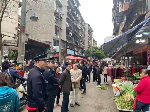 从犀浦到牛市口锦东路怎么坐公交车