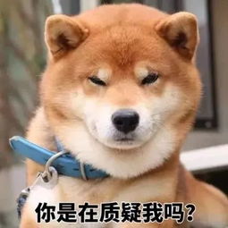 再您妈的见表情包柴犬 搜狗图片搜索