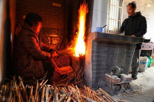 谁说柴火灶不能用 小伙发明无烟柴火灶,节能环保,专家也没话说