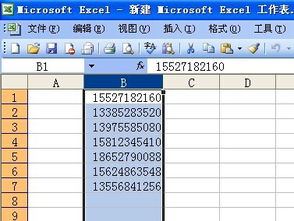 EXCEL表格中B列手机号一共有7483条 有快速隐藏中间四位数的命令么 谢谢 