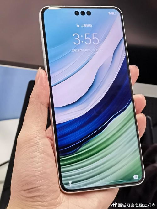 华为mate60真实图片,华为Mate 60:引领科技潮流的旗舰手机  第6张