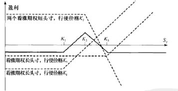 有关于碟式期权的计算题