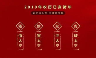 2019年,哪些生肖犯太岁 及犯太岁该怎么办 