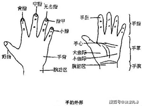 一只手可以看出多少信息