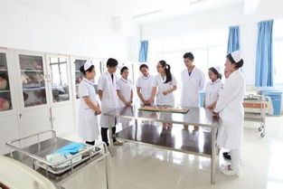 合肥中专护理学校：培养专业护理人才，为健康中国助力