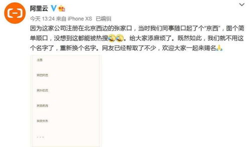 阿里云新公司起名 京西 网友炸了,阿里云表示随便起的,将改名
