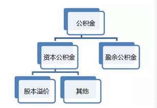 资本公积是什么意思 怎么计算