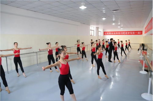 高考舞蹈辅导班吗,成都哪些高考艺术培训机构比较好，尤其是高考舞蹈培训，谢谢？