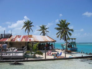 caye reef caye caulker,Geography and Location