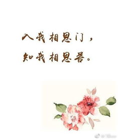 有哪些关于桃花的浪漫诗句或者句子？(春节浪漫诗句？)