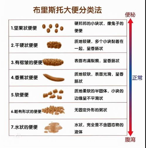 中医如何治疗大便不尽？