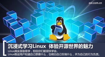 linux的云主机如何远程管理 (云派免费服务器怎么登录)