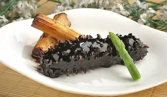 海参最好的食用方法,海参是一种营养丰富