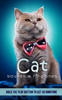 猫的声音铃声app下载 猫的声音铃声手机版下载 手机猫的声音铃声下载 