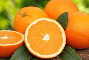 橘子花怎么养,橘子花的培育与护理：让你拥有丰收的喜悦