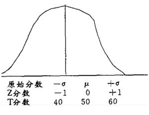 在数学中t是什么意思！谢谢。