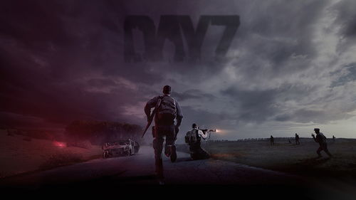 DayZ最新游戏壁纸欣赏 人气僵尸游戏 