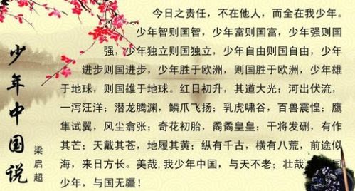 少年中国说配乐是什么,孙悦斌 少年中国说的背景音乐叫什么