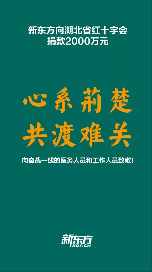 新东方向湖北省红十字会捐款2000万元