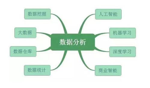 分析报告，统计分析和数据挖掘的区别