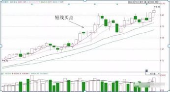 日均线怎么看以及运用T+0操作