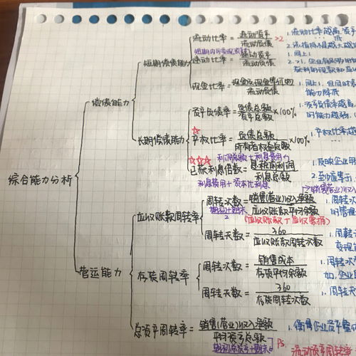 财务分析 四大能力分析 