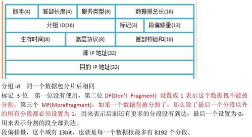 自动获取ip地址的ip怎么查询