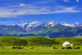 新疆旅游几月份去合适(新疆几月份去旅游最合适)