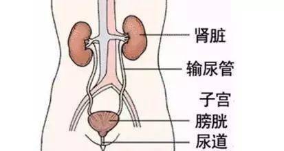 别人坐过的 热板凳 能直接坐吗 会不会传染什么病