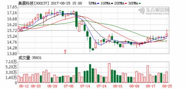 美晨集团股份有限公司的简介